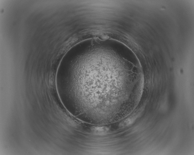 X0000065970277200603101405