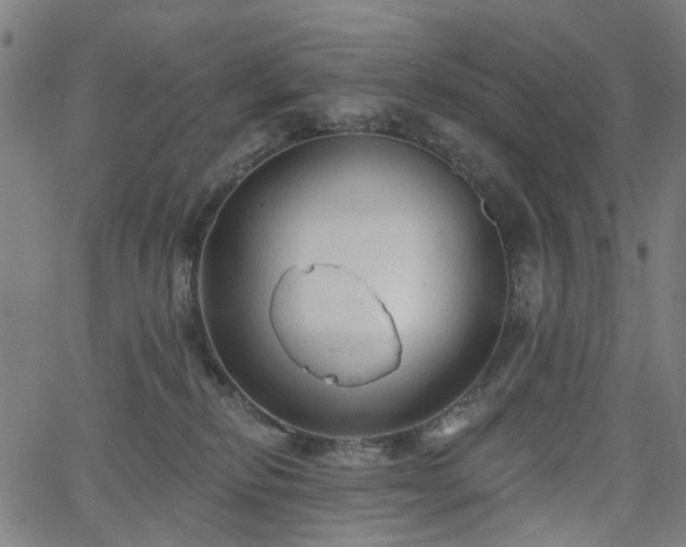 X0000065970278200603101405