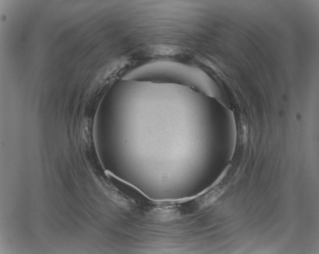 X0000065970280200603101405