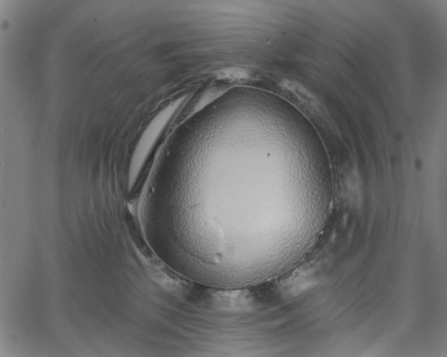 X0000065970281200603101405