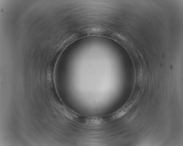 X0000065970282200603101405