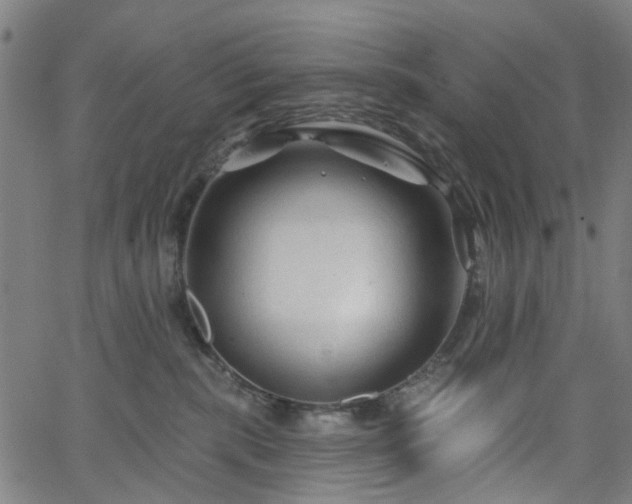 X0000065970283200603101405