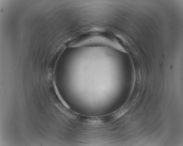 X0000065970284200603101405