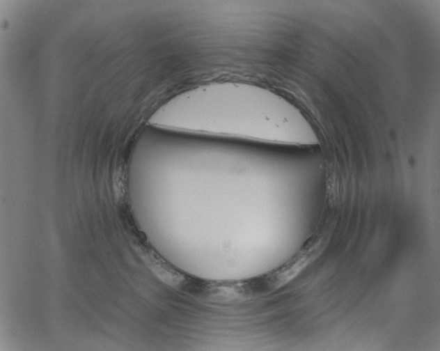 X0000065970285200603101405