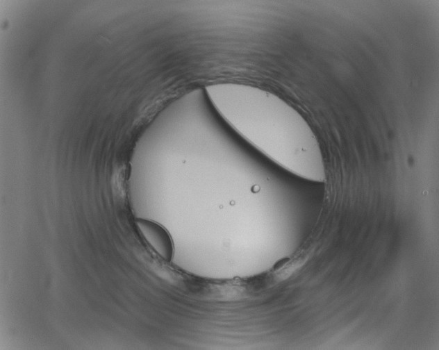 X0000065970286200603101405