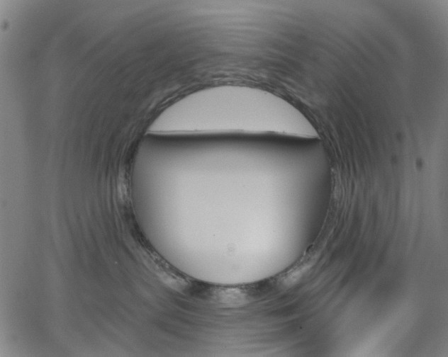 X0000065970287200603101405