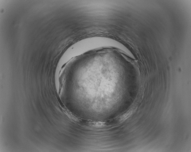 X0000065970288200603101405