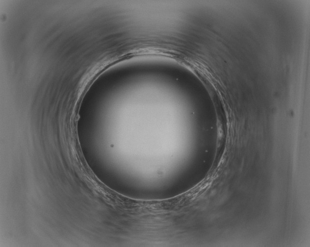 X0000065970289200603101404