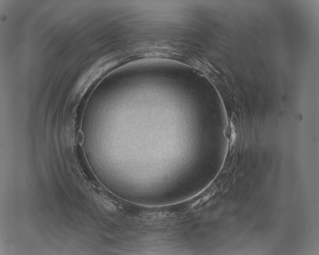 X0000065970291200603101404