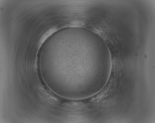 X0000065970292200603101404