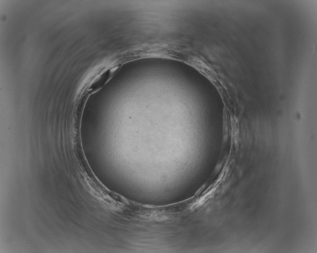 X0000065970293200603101404