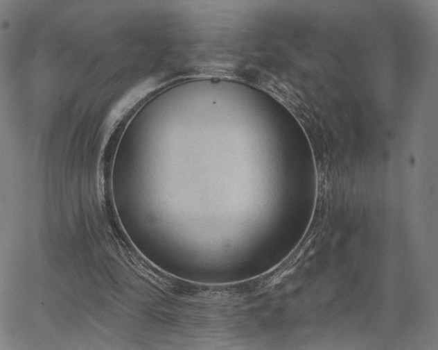 X0000065970294200603101404