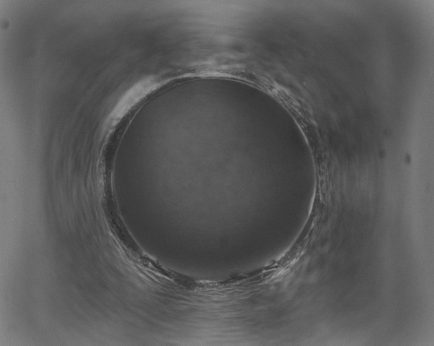 X0000065970295200603101404