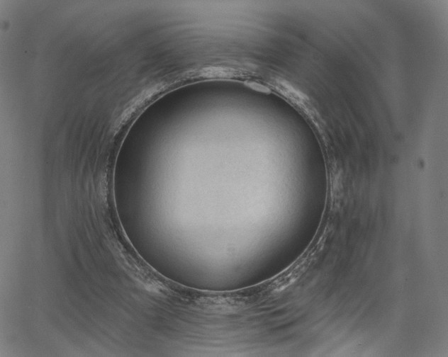 X0000065970297200603101404