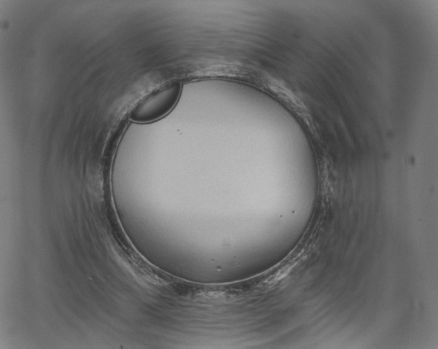 X0000065970298200603101404