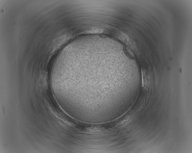 X0000065970300200603101404