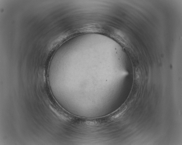 X0000065970302200603101404