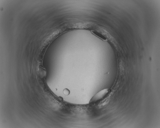 X0000065970305200603101404