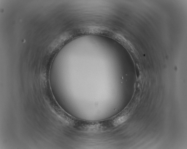 X0000065970306200603101404