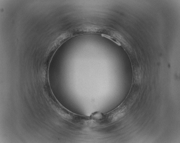 X0000065970309200603101404