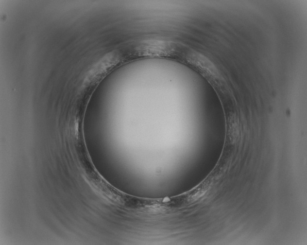 X0000065970310200603101404