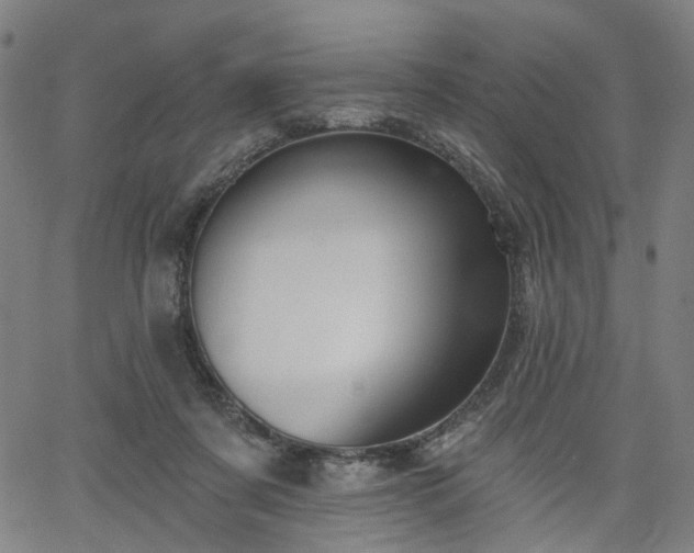 X0000065970311200603101404