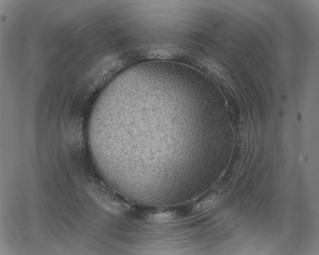 X0000065970312200603101404