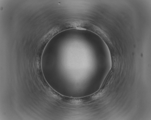 X0000065970313200603101404