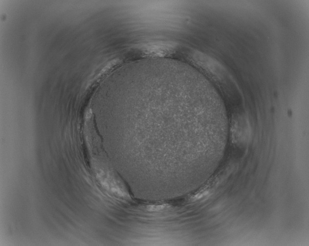 X0000065970314200603101404