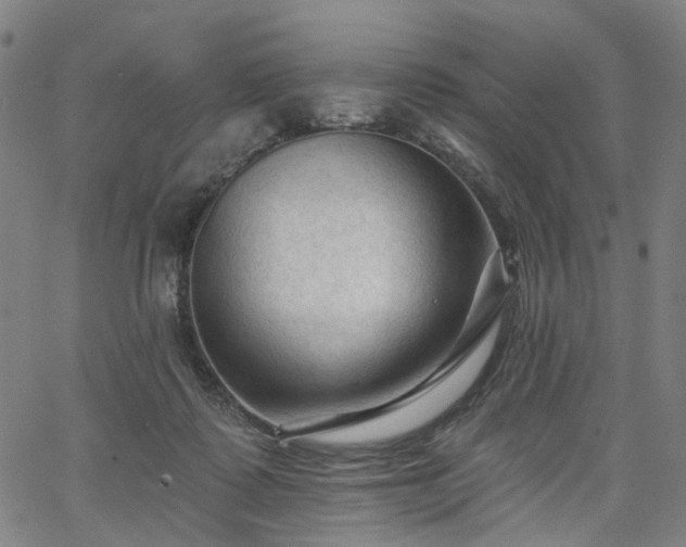 X0000065970315200603101404