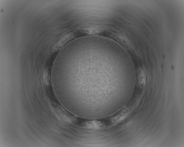 X0000065970316200603101404