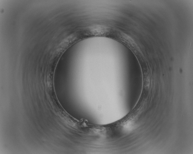 X0000065970317200603101404