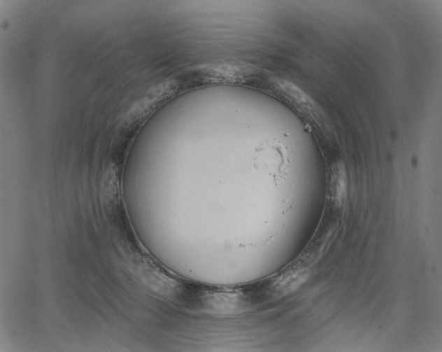 X0000065970318200603101404