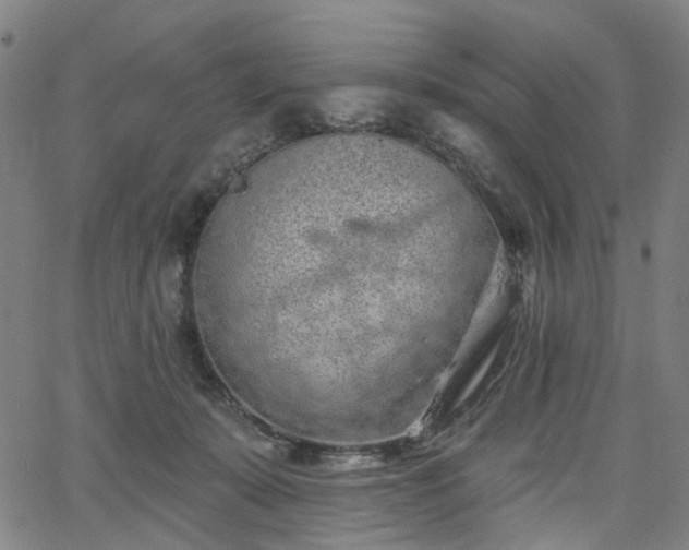 X0000065970319200603101404