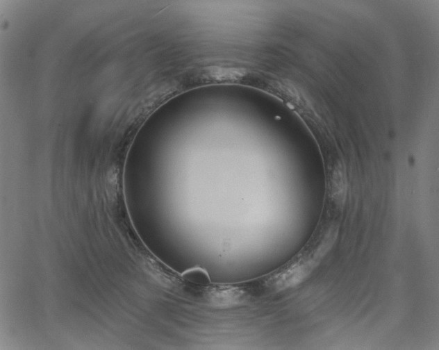 X0000065970321200603101404