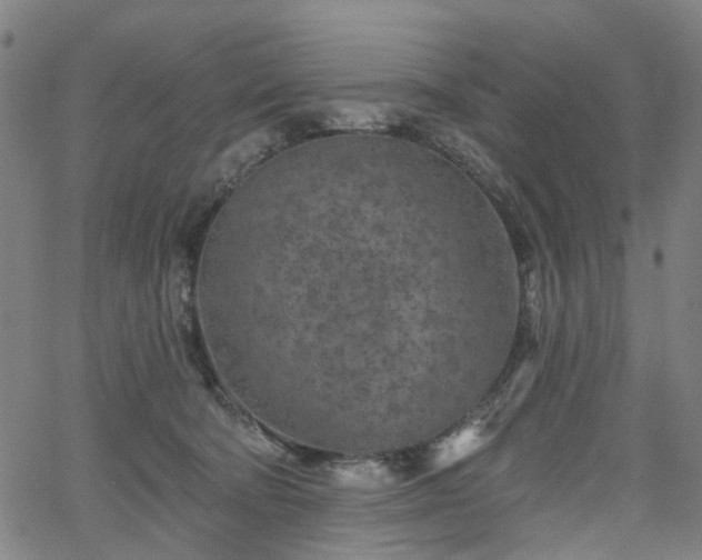 X0000065970322200603101404