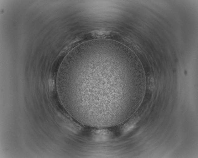 X0000065970324200603101403