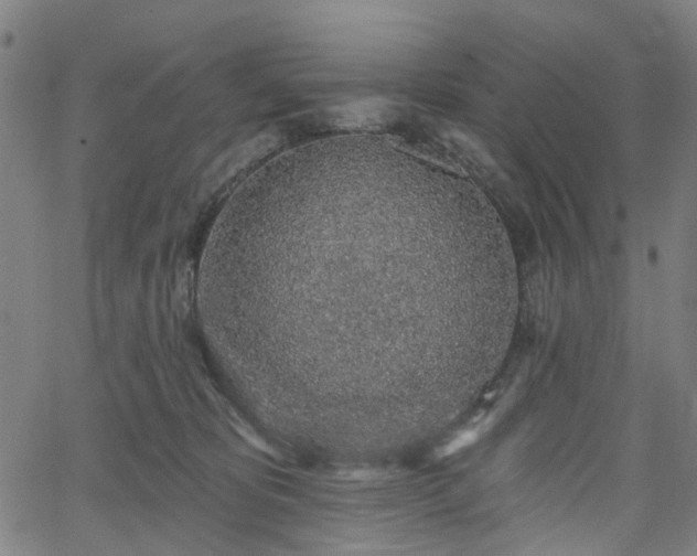 X0000065970325200603101403