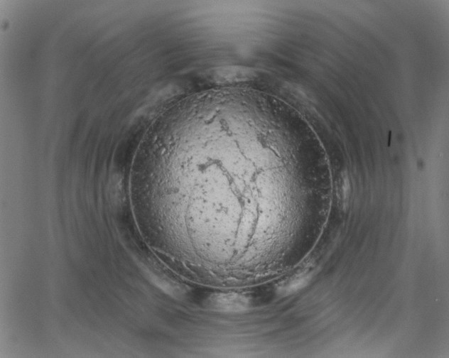 X0000065970327200603101403