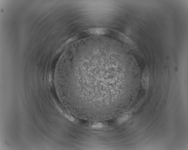 X0000065970330200603101403