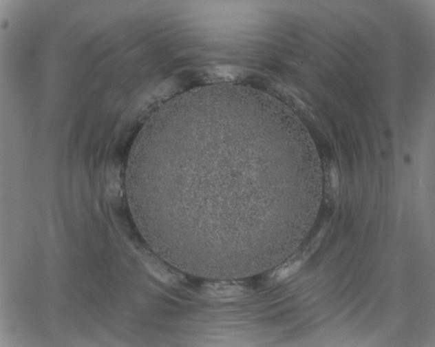 X0000065970331200603101403