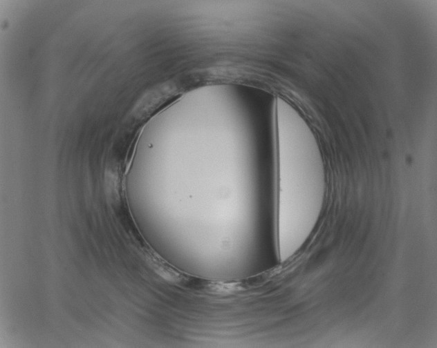 X0000065970333200603101403