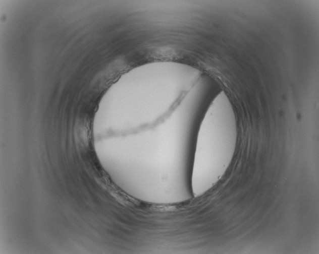 X0000065970334200603101403