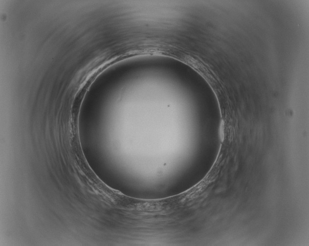 X0000065970338200603101402