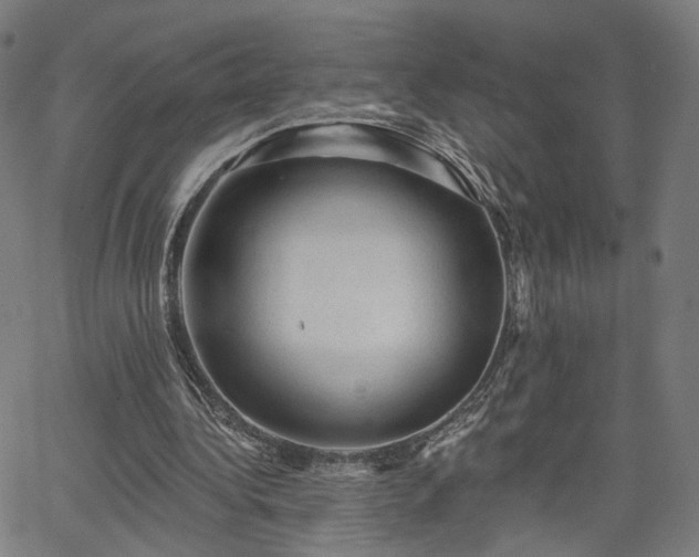 X0000065970340200603101402