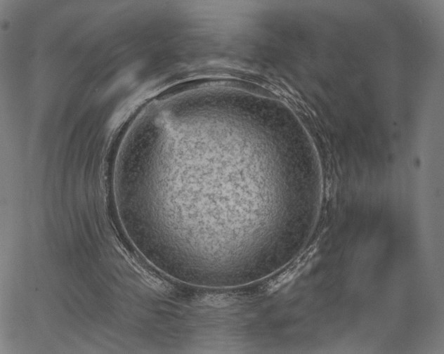 X0000065970341200603101403