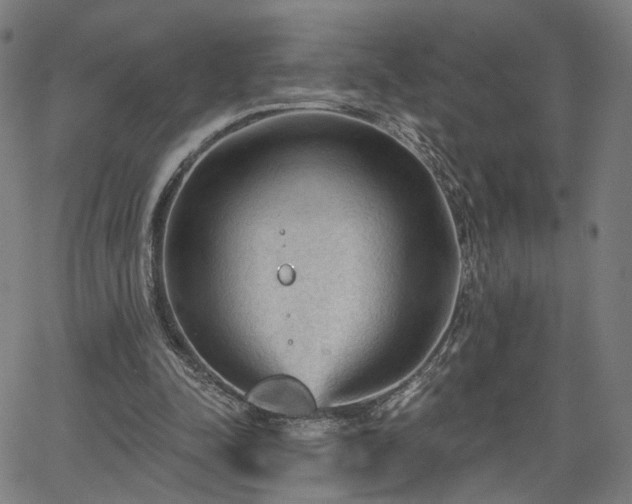 X0000065970342200603101403