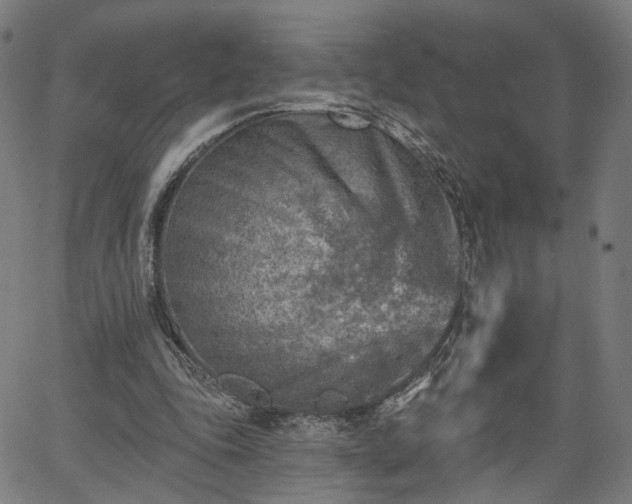 X0000065970343200603101403