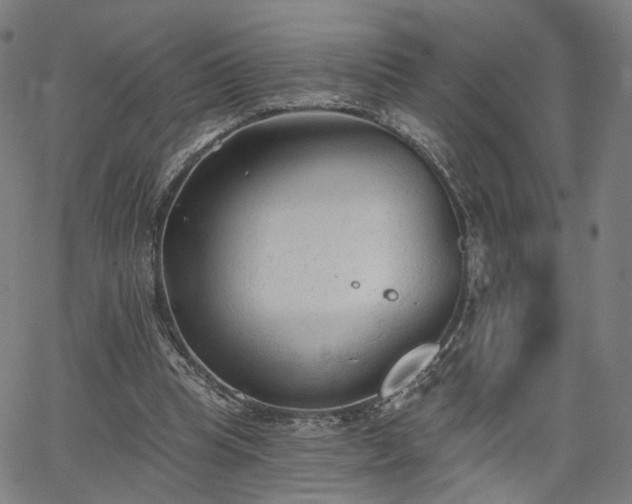 X0000065970345200603101403