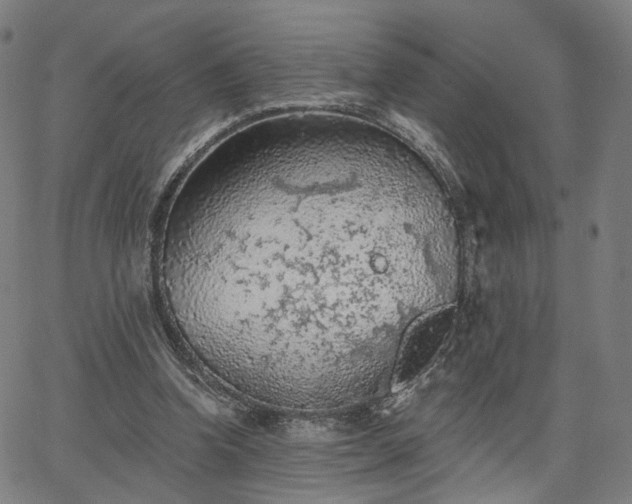 X0000065970346200603101403